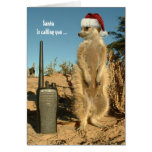 Santa is calling you - Seasons greetings 3 Greeting Cards