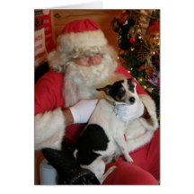 Santa & Jack Russell Greeting Cards