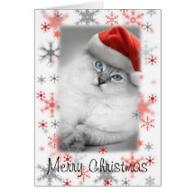 santa kitty christmas card