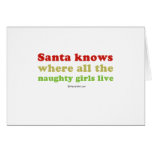 Santa knows all the naughty girls card