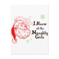 Santa knows all the naughty girls
