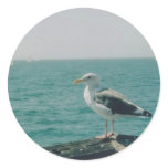 Santa Monica Seagull stickers