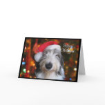 Santa Old English Sheepdog Christmas Card