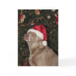 Santa Paws is Coming to Town cards