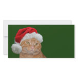 Santa paws photo cards
