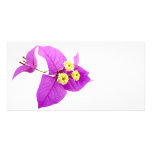 Santa Rita Flowers photo cards