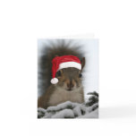 Santa Squirrel cards