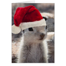 Santa Squirrel Christmas Card