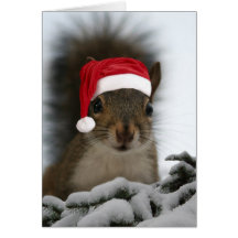 Santa Squirrel Greeting Card