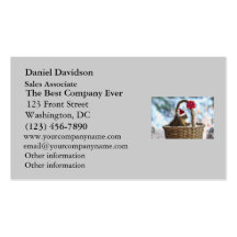 Santa Squirrel in Snow Business Card