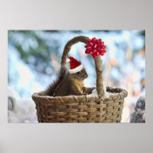 Santa Squirrel in Snow Poster