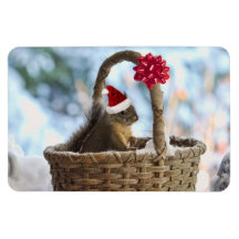 Santa Squirrel in Snow Vinyl Magnet