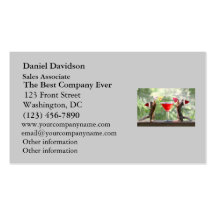 Santa Squirrels Drinking a Cocktail Business Card