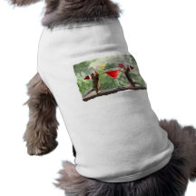 Santa Squirrels Drinking a Cocktail Pet Tee