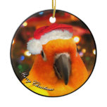 Santa Sun Conure Christmas Ornament