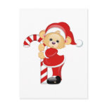 Santa Teddy Bear and Candycane postcards