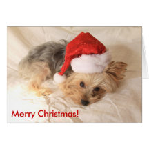 Santa Yorkie Card