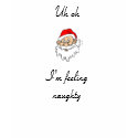 santaface[1], I'm feeling naughty, Uh oh t-shirts