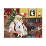 Santa's American Eskimo Dog