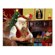 Santa's Apricot Toy/Min. Poodle Post Cards