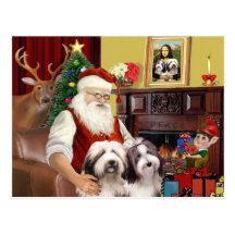 Santa's Bearded Collie Post Cards