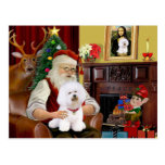 Santa's Bichon Frise (#1) Post Cards