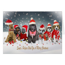 Santa's Canine Helpers Cards