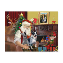 Santa's Cattle Dogs Post Card