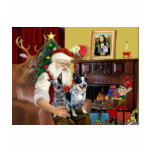 Santa's Cattle Dogs t-shirts