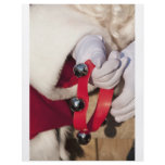 Santas Hands flyers