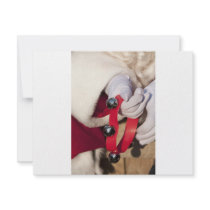Santas Hands