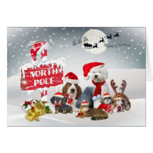 Santa's Helpers At The North Pole cards