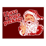 Santas Huge Package Post Card