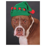 Santa's little helper flyers