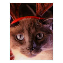 Santa's Little Helper Postcard