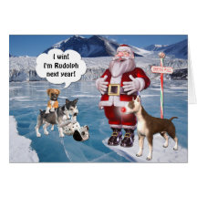 Santa's Rudolph is a Bull Terrier Dog Greeting Cards