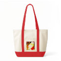 SANTAS SACK bags