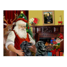Santa's Two Flat Coated Retrievers Post Card