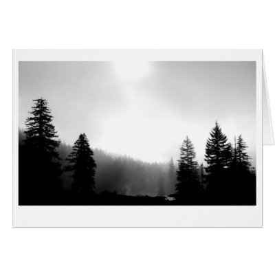 Santiam Pass Series, #4 Greeting Card by theomnivore