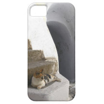 Santorini Cat Resting on Stairs iPhone 5 Cover