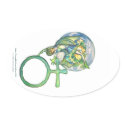 Sapphire Terra stickers