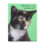 Sara - Happiness is an adopted cat! Postcard