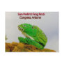 sara perkin's frog rock grill post cards