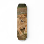 sarabi-nap-006 skateboards