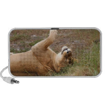 sarabi-nap-020 iPhone speaker