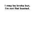 Sarah Palin Flat Busted T-shirt