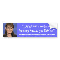 Sarah Palin's Foreign Policy - Customised