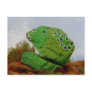 SaRaH PeRkIn'S RoCk Postcard
