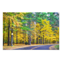 Saratoga Springs in the Fall Art Photo