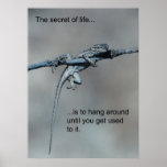 Sarcastic Lizard Secret of Life posters